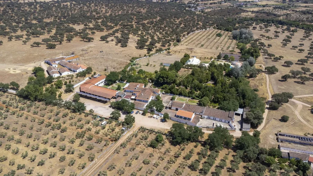 Õhuvaade - Farm with Antique Style Accommodations in Elvas