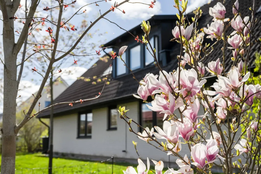 Exterior - Spacious Villa with Garden in Lund
