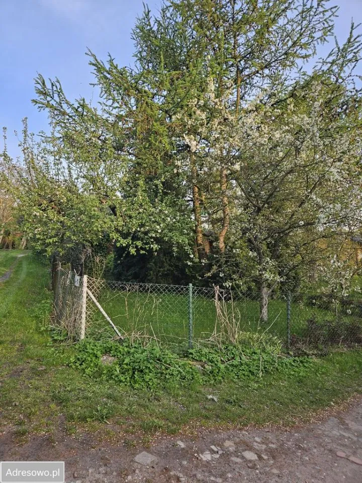 Garden - Land Plot with Utilities in Gdańsk