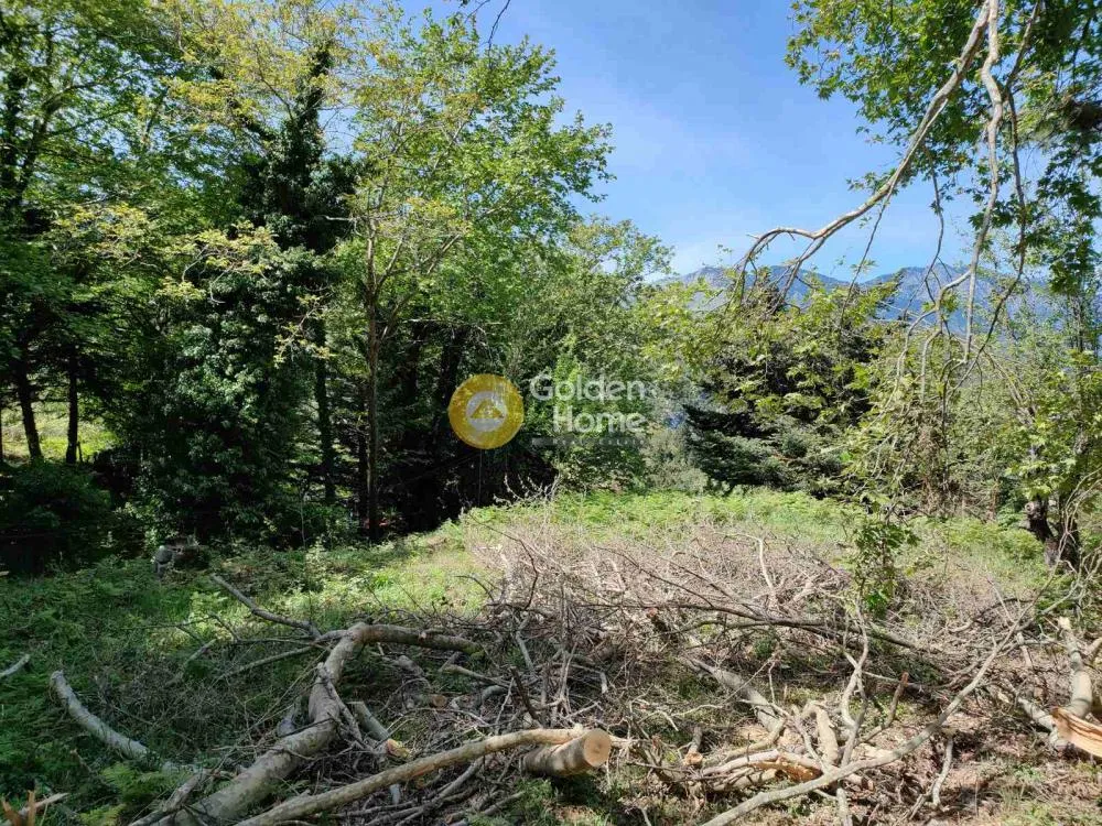 Jardin - Buildable Plot with Panoramic View in Upper Polydroso