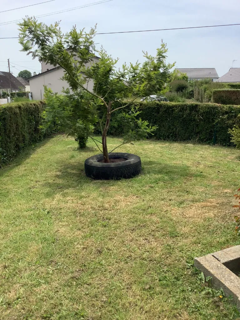 Jardin - Maison avec Jardin et Cour à Proximité