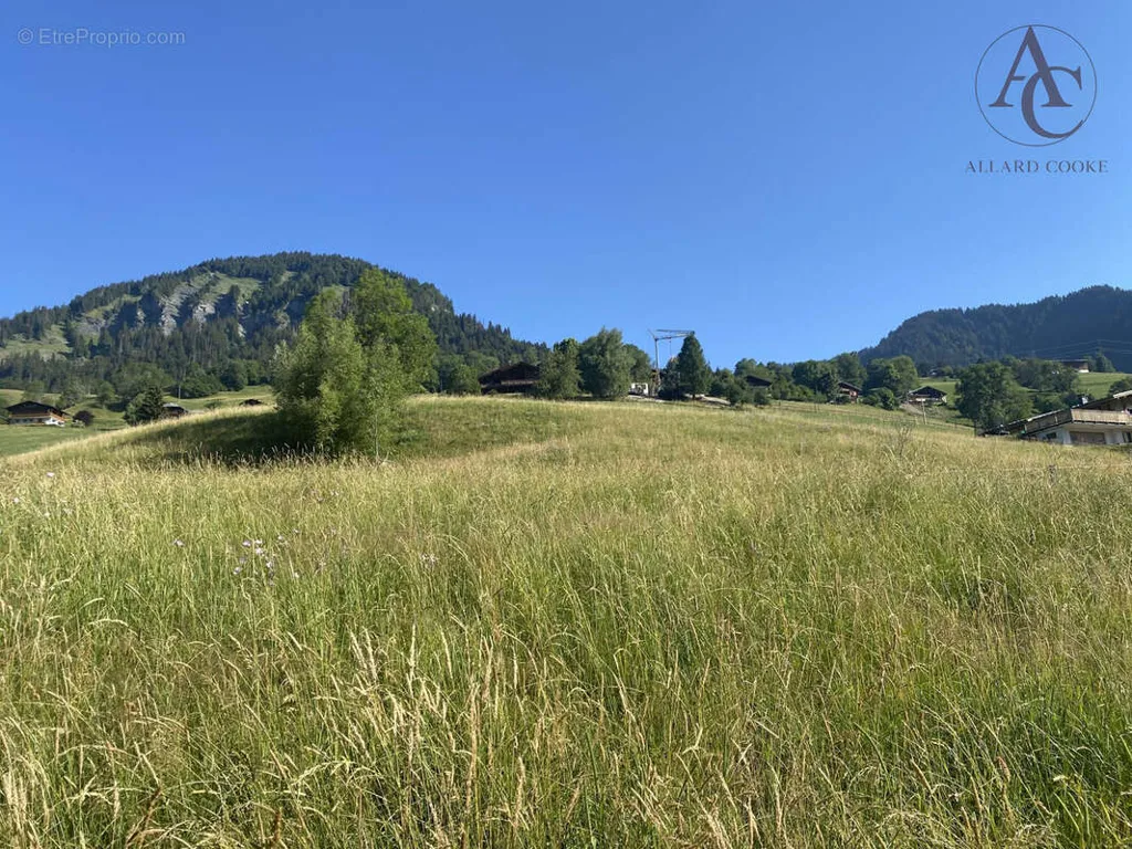 Aed - Buildable Plot with South Exposure in Praz-sur-Arly