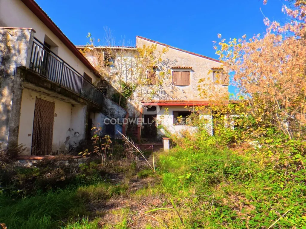 Extérieur - Rustic Estate with Lake in Vinci, Tuscany