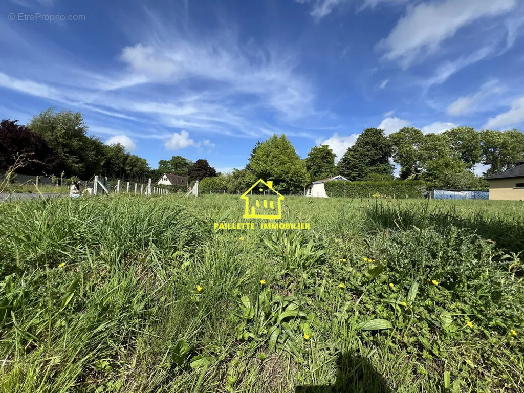 Aed - Constructible Plot with Viability in Oudalle