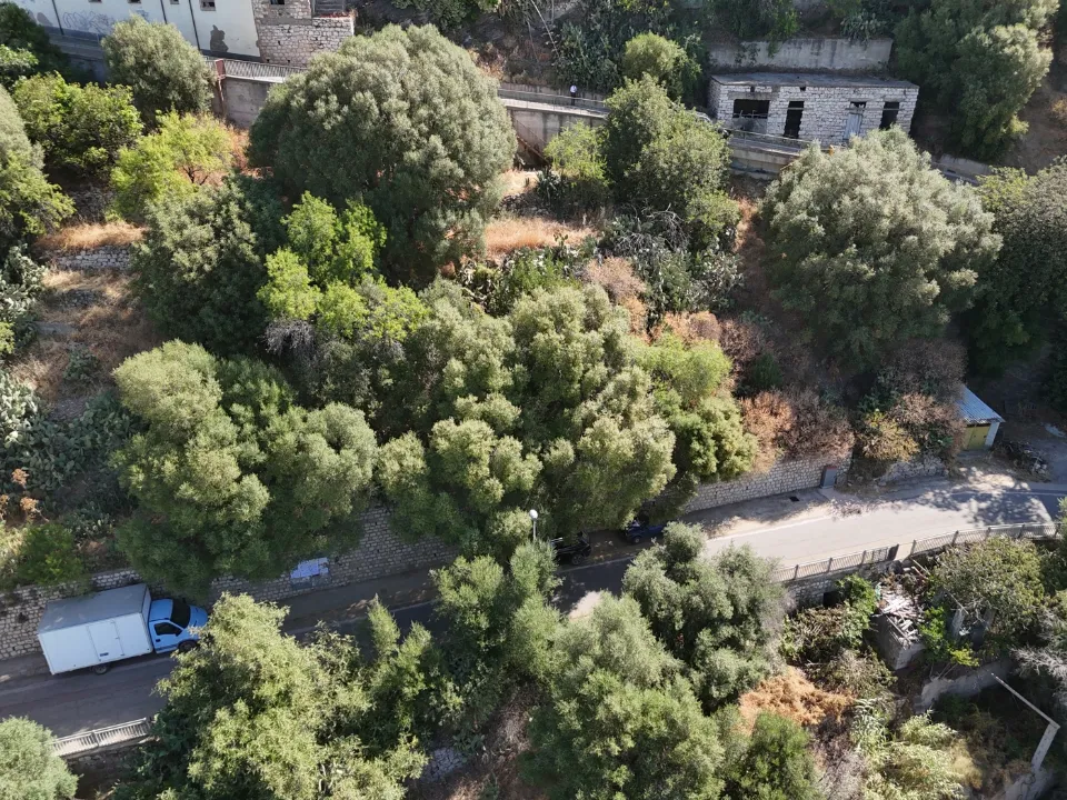 Vista aerea - Buildable Land with Panoramic View in Baunei