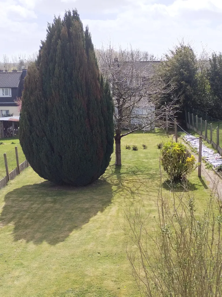 Maison 4 pièces à Tinténiac