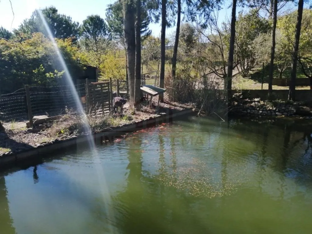 Aed - Luxury Farmhouse with Pool near Santarém