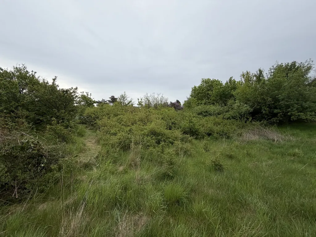 Aed - Vacation Plot in Knebel, Syddjurs