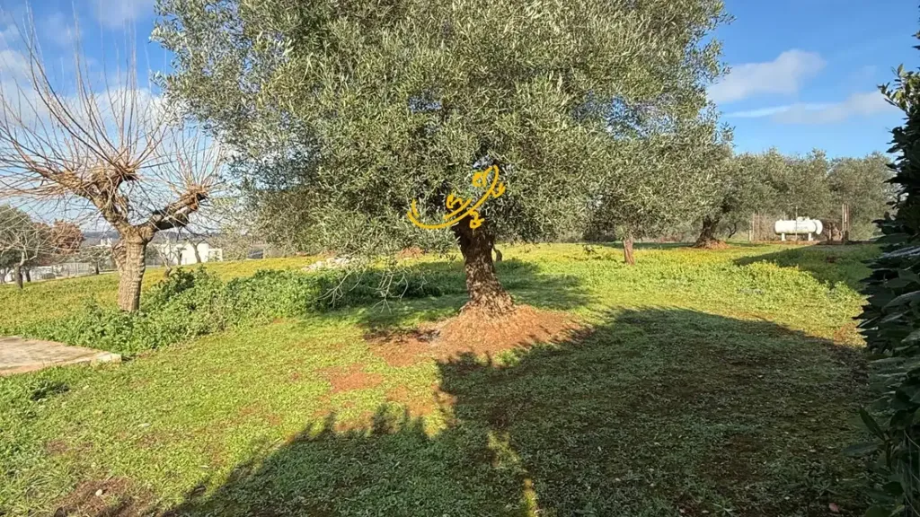 Aed - Villa with Trulli Charm in Ceglie Messapica