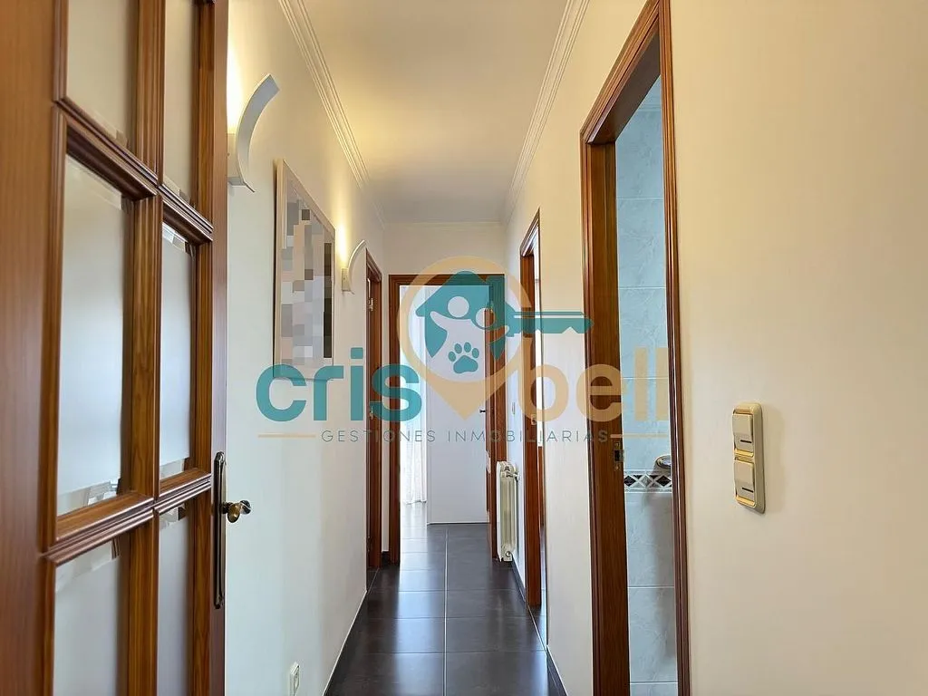 Esik - Spacious Apartment with Terrace in San Cristóbal