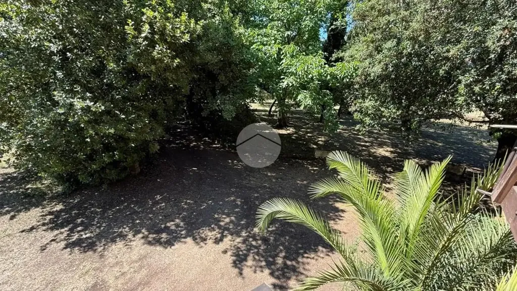 Jardin - Rustic Casale with Garden in Teverina, Viterbo