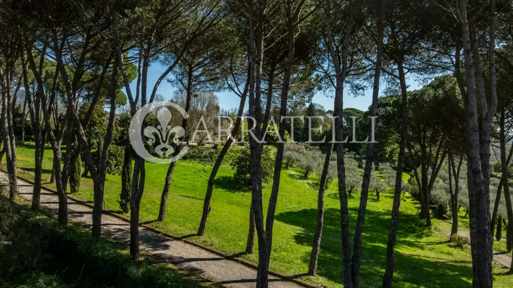 Aed - Historic Villa with Olive Grove in Capannori