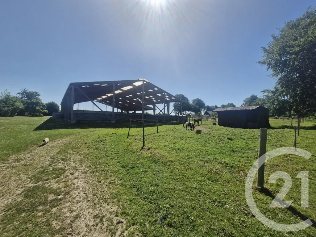 Jardin - Centre Équestre avec Carrières à Blosseville-sur-Mer