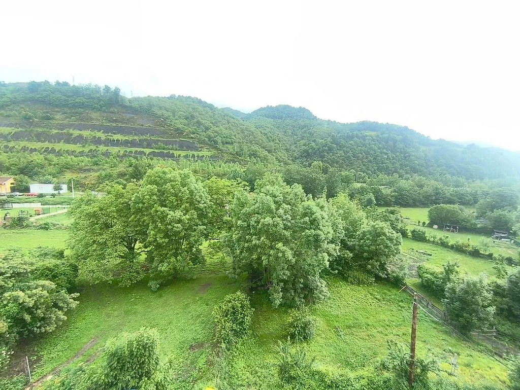 Garden - Apartment with Lift in Cabañaquinta