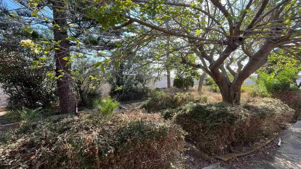 Jardin - Villa to Renovate with Sea View in Pachino