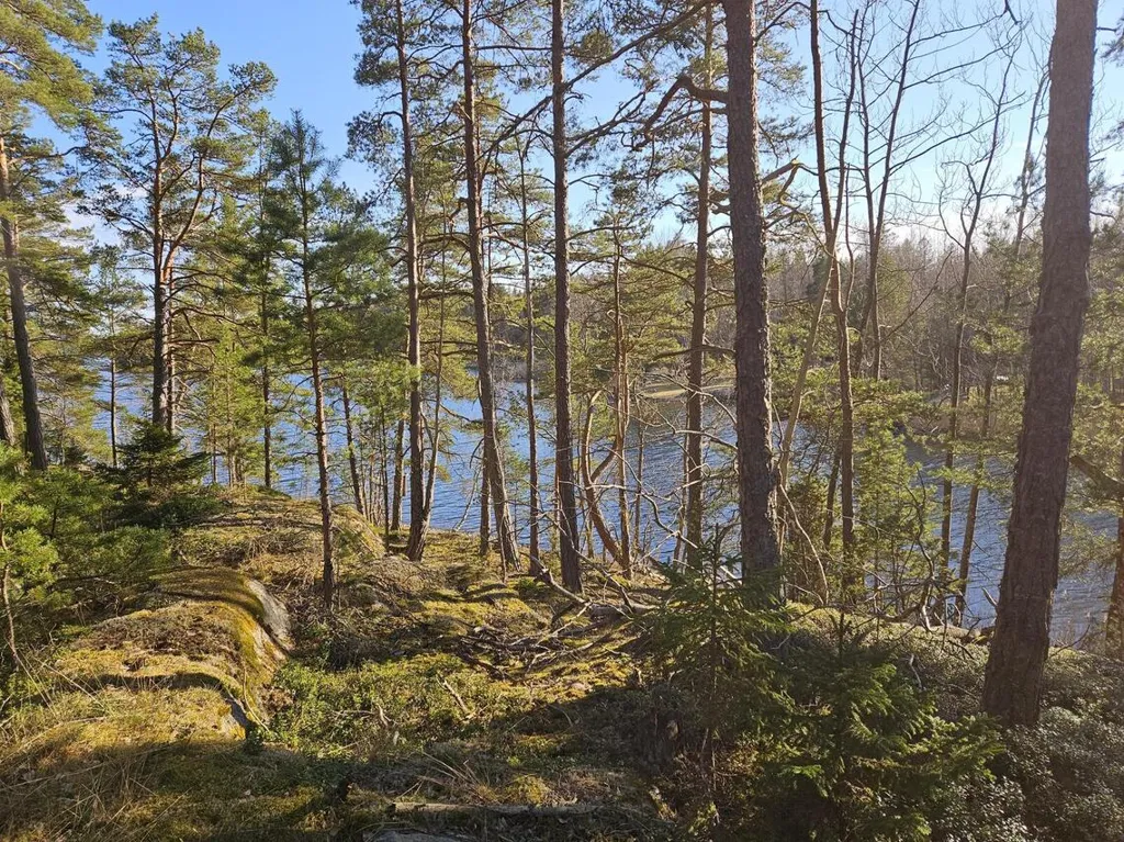 Garden - Seaside Plot with Forest in Särkisalo