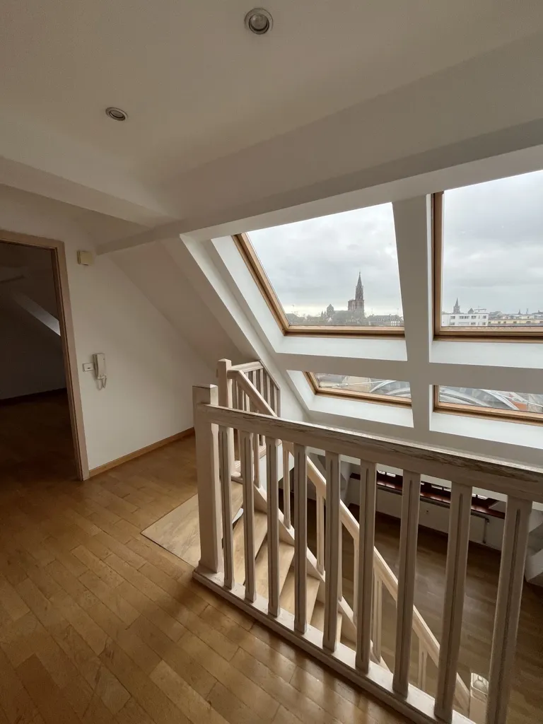 Pièces - Duplex avec Terrasse à Strasbourg République
