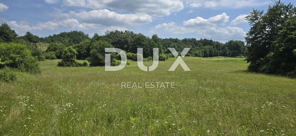 Jardin - Agricultural Land with Vineyard Potential in Pićan