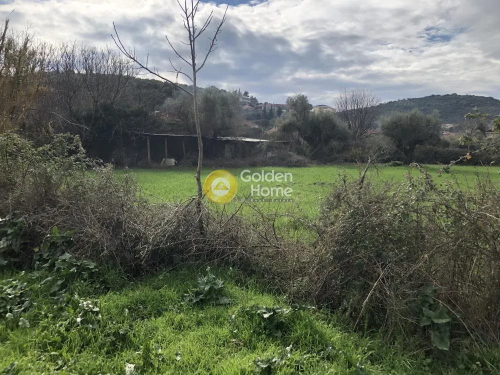 Aed - Land Plot with Mountain View in Evpali