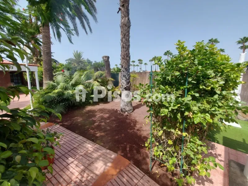 Aed - Bungalow with Pool on Tjaereborg Avenue