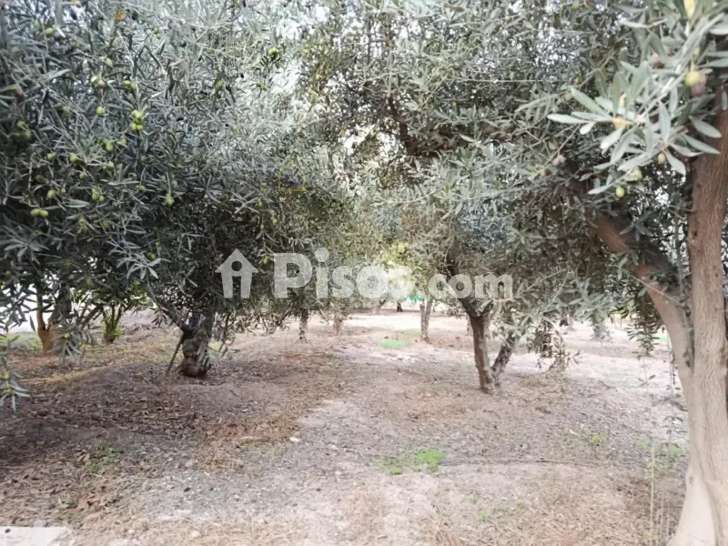 Giardino - Single-Storey Chalet with Garden in Lorca Centre