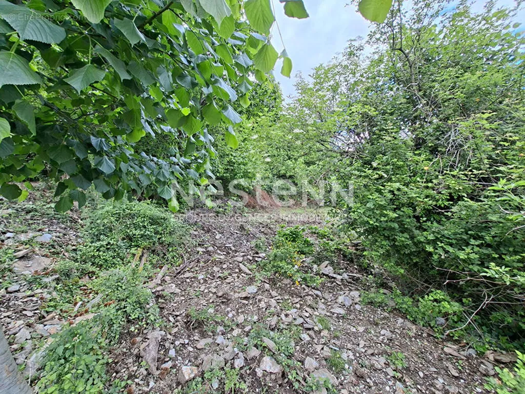 Garden - Flat Plot with Valley View in Quiet Area