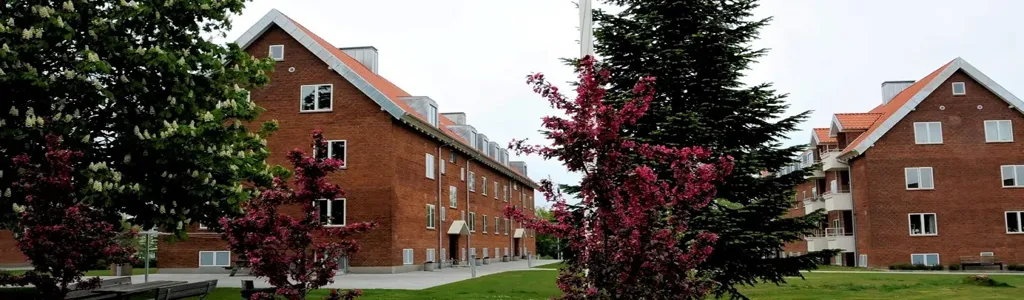 Extérieur - Three-Bedroom Apartment in Vejle