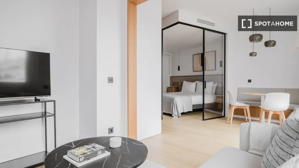 Séjour - Appartement 1 Pièce dans le Triangle d'Or, Paris
