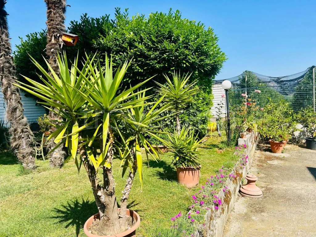 Jardin - Villa with Private Garden in Costigliole Saluzzo