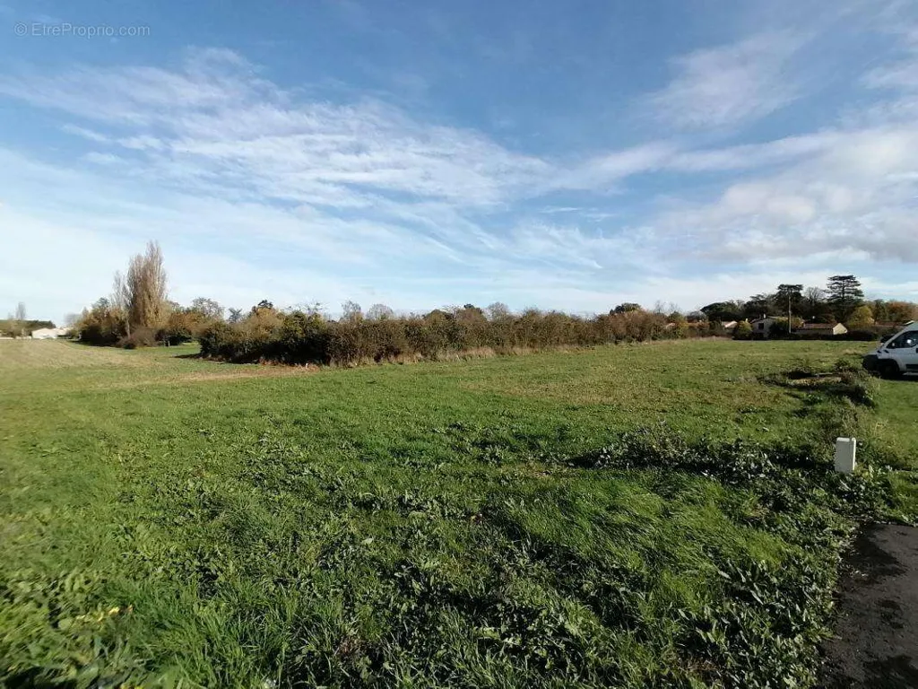 Jardin - Terrain Constructible avec Vue Dégagée à Sevres-Anxaumont