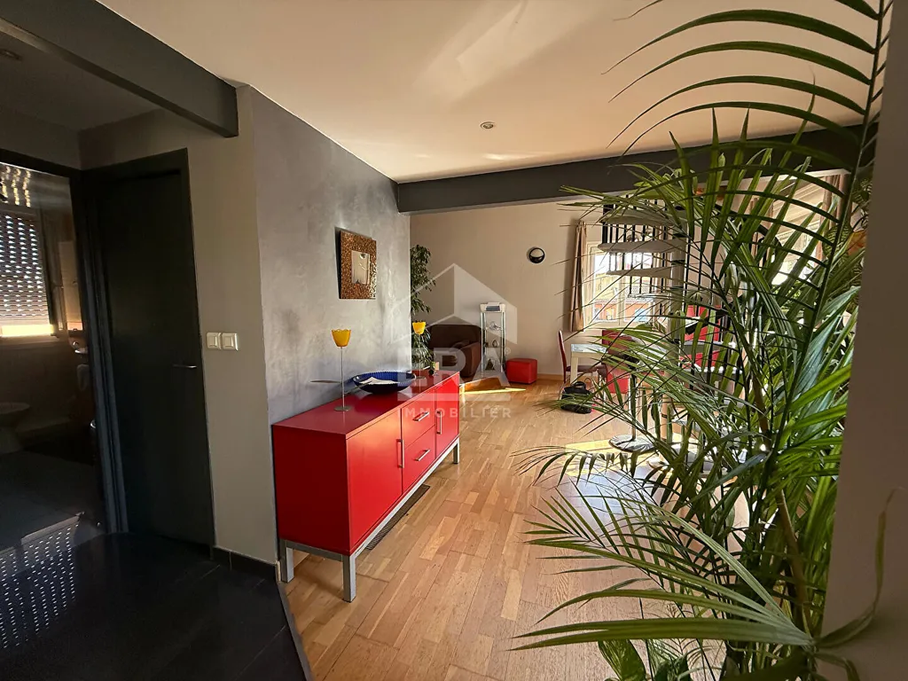 Elutuba - Duplex with Terraces near Perpignan Centre
