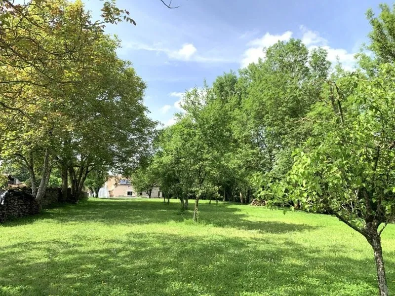 Jardin - Moulin Rénové avec Piscine et Parc près de Niort