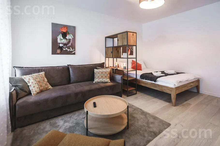Elutuba - Renovated Apartment with Balcony in Riga Centre
