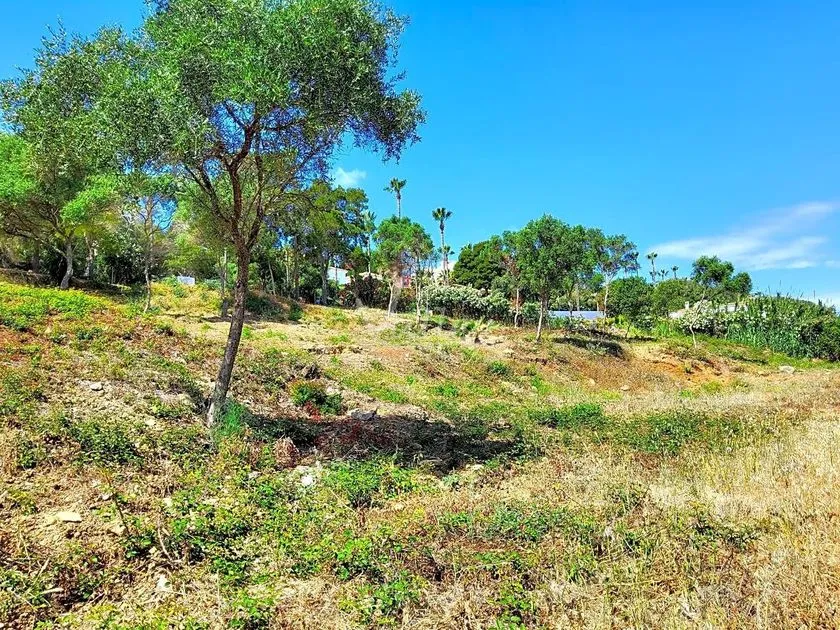 Giardino - Chalet with Garden Views in Sotogrande