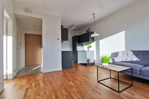 Séjour - Appartement 2 pièces à Tartu