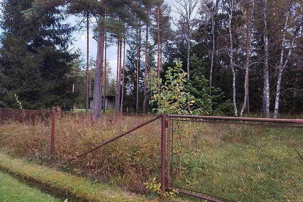 Aed - Country Plot with Forest Access in Koppelmaa