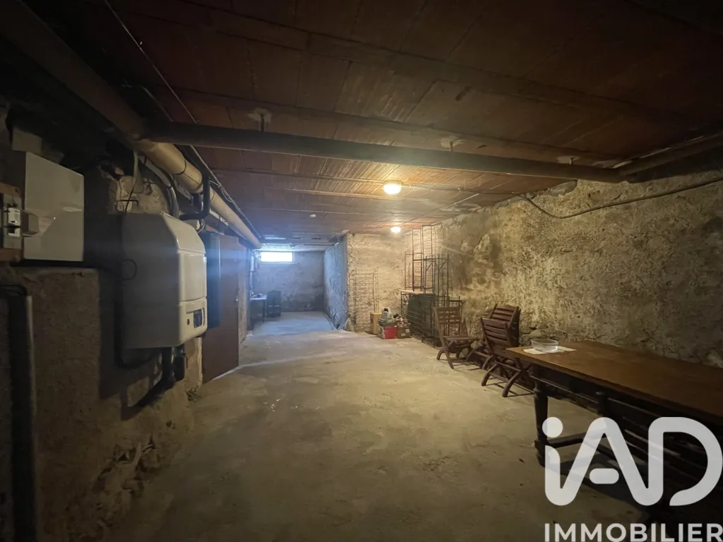 Toad - Village House with Pyrenees View in Limousis