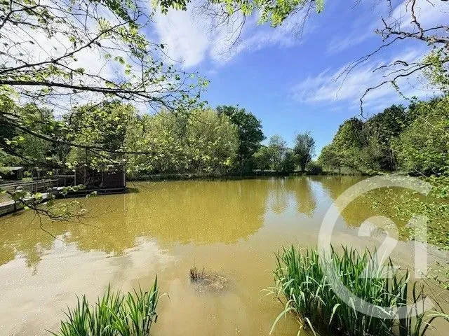 Jardin - Maison avec Deux Plans d'Eau à Domptier-sur-Veyle