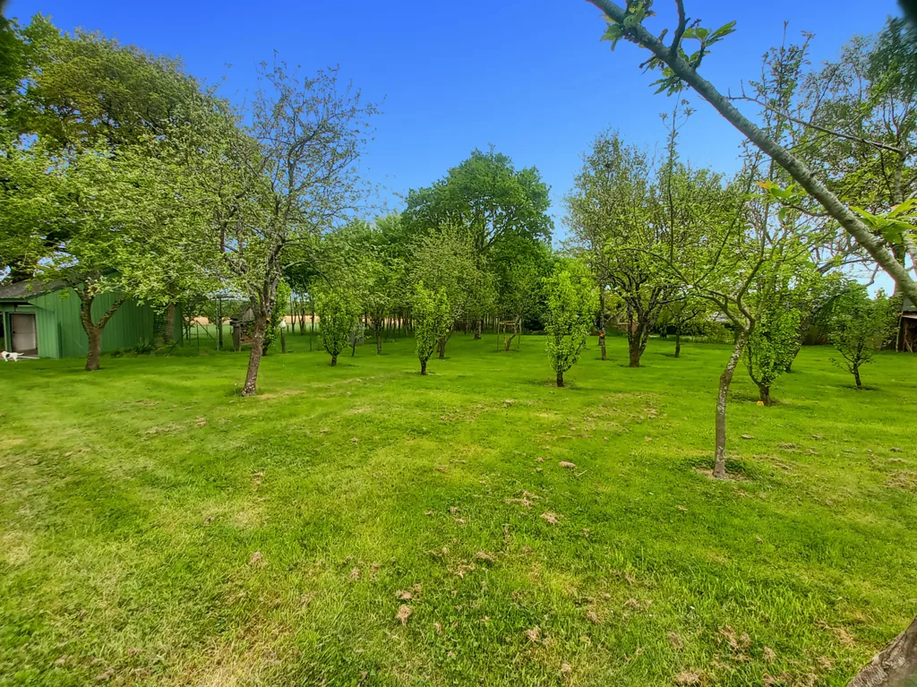 Jardin - Maison avec Jardin Arboré à La Baconnière