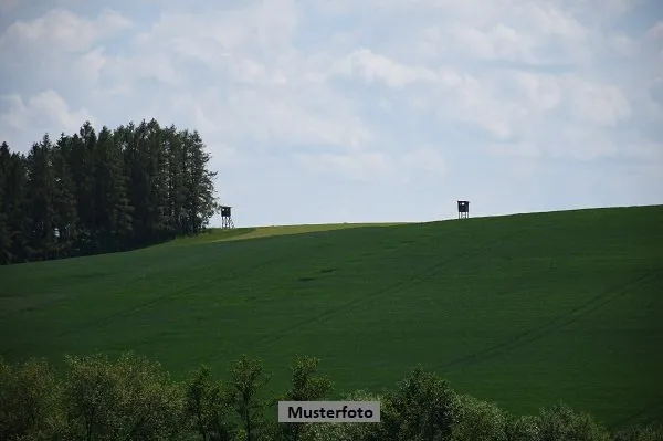 Giardino - Terreno a Waldlaubersheim