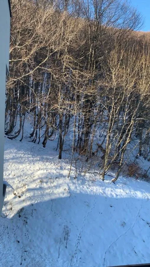 Pièces - Apartment with Ski Access in Limone Piemonte