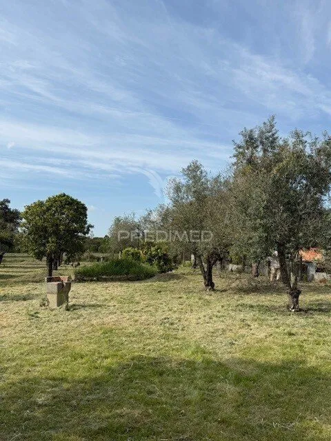 Jardin - Detached House with Fruit Trees in Água Derramada