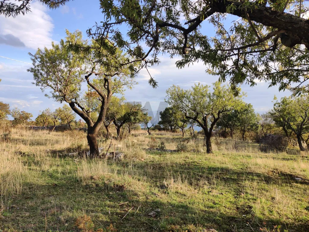 Jardin - 10,200 sqm Plot in Contrada San Salvatore