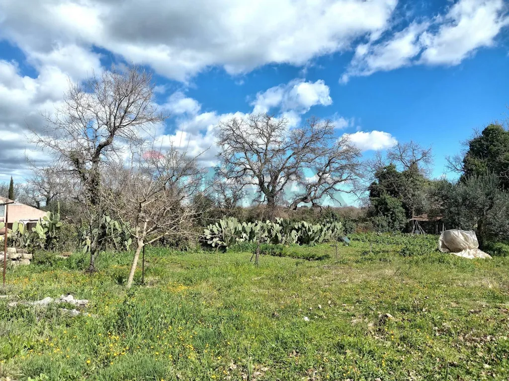 Garden - Agricultural Land with Existing Structures in Palazzolo Acreide