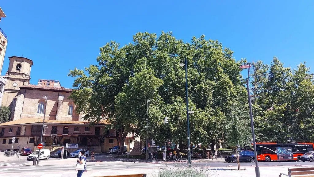 Student Flat with Central Location in Deusto