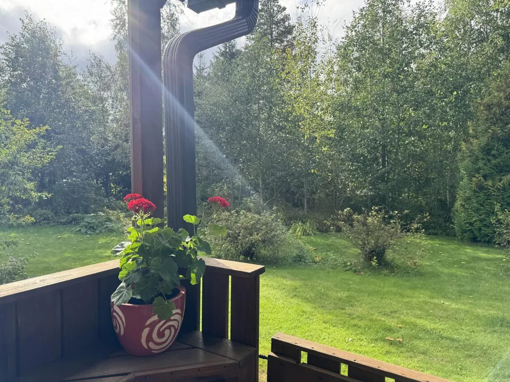 garden