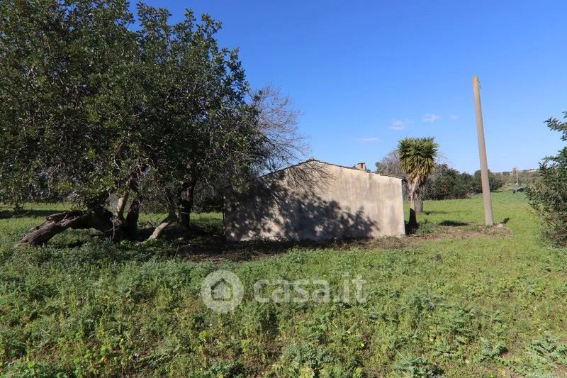 Jardin - Rustic Casale with Large Land in Ispica