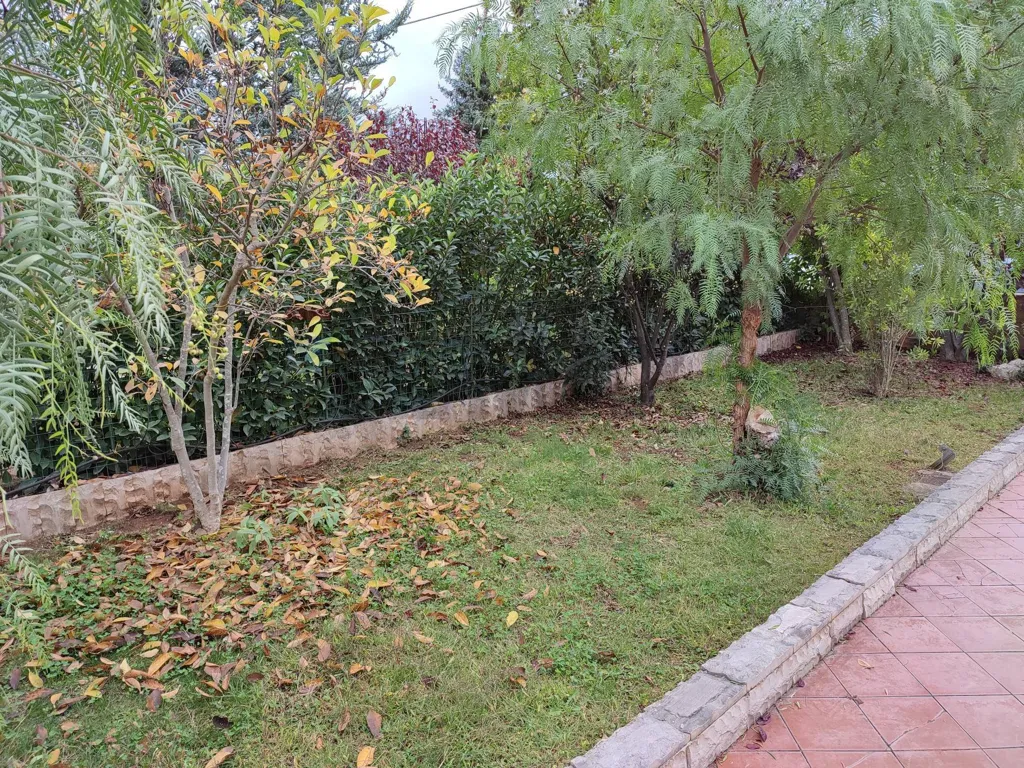 Jardin - Independent Villa with Pool in Cassano delle Murge