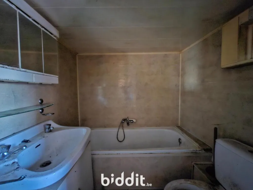 Salles de bain - Maison à Rénover avec Jardin dans un Cadre Vert à Sambreville