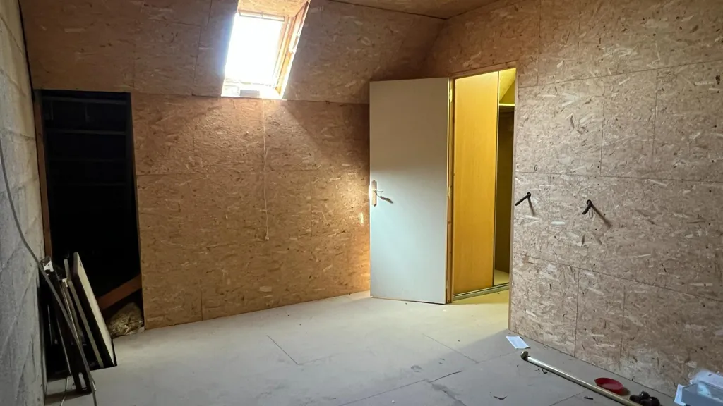 Toad - House with Potential in Saint-Cyr-En-Val